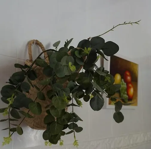 Tatil Evi Casa Reme *