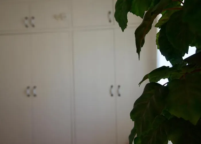 Casa Reme Tatil Evi Navarrés